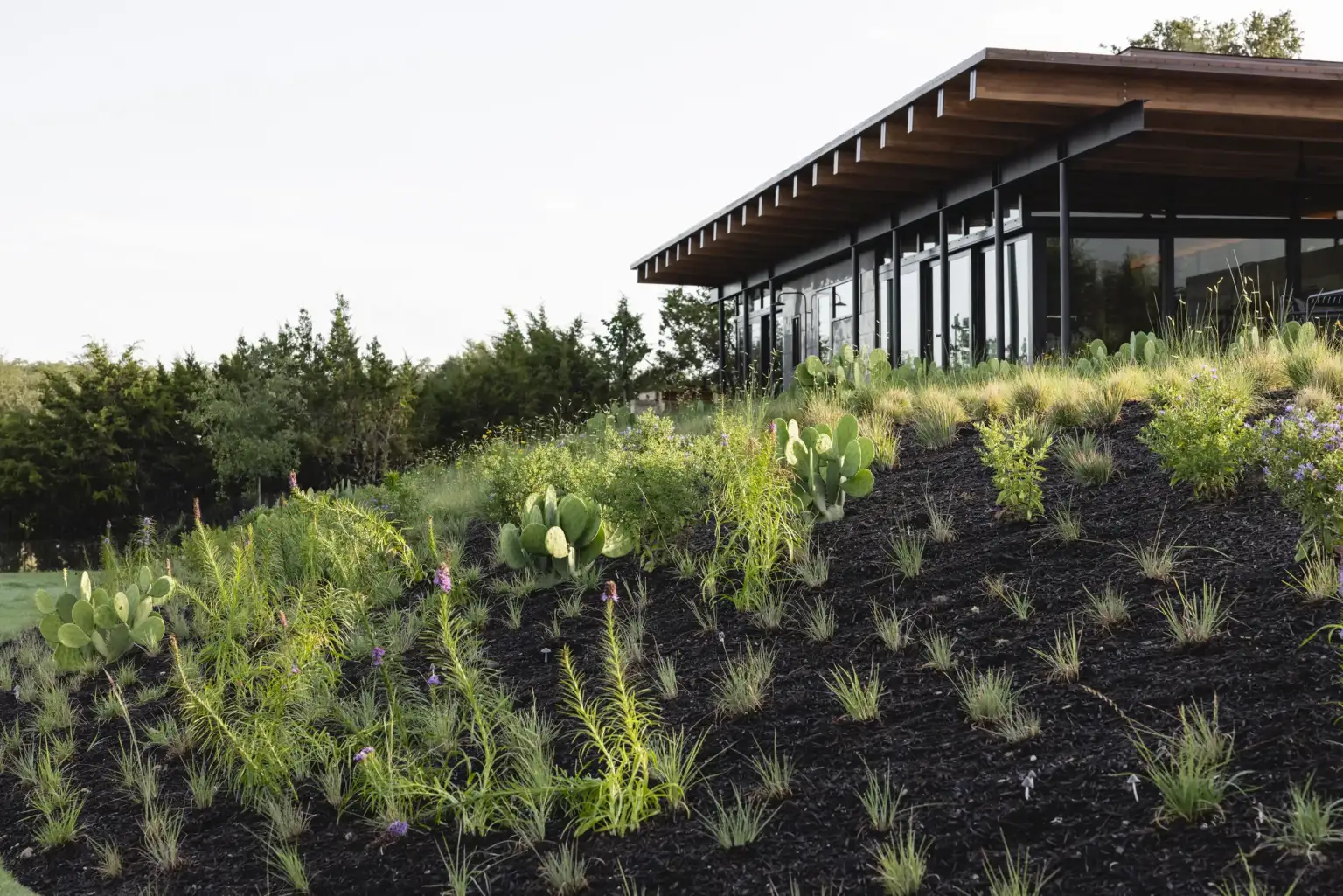 Barton Creek Backyard - Image 2 of 5