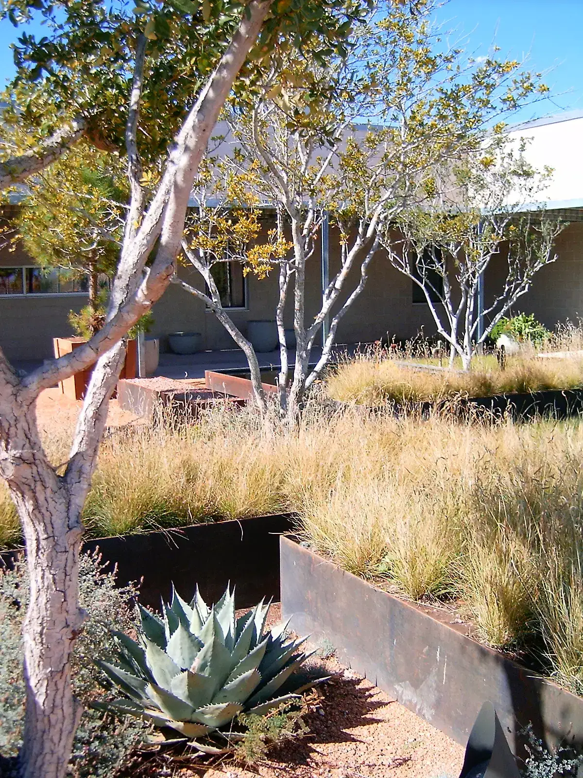 Marfa Residence - Image 2 of 4