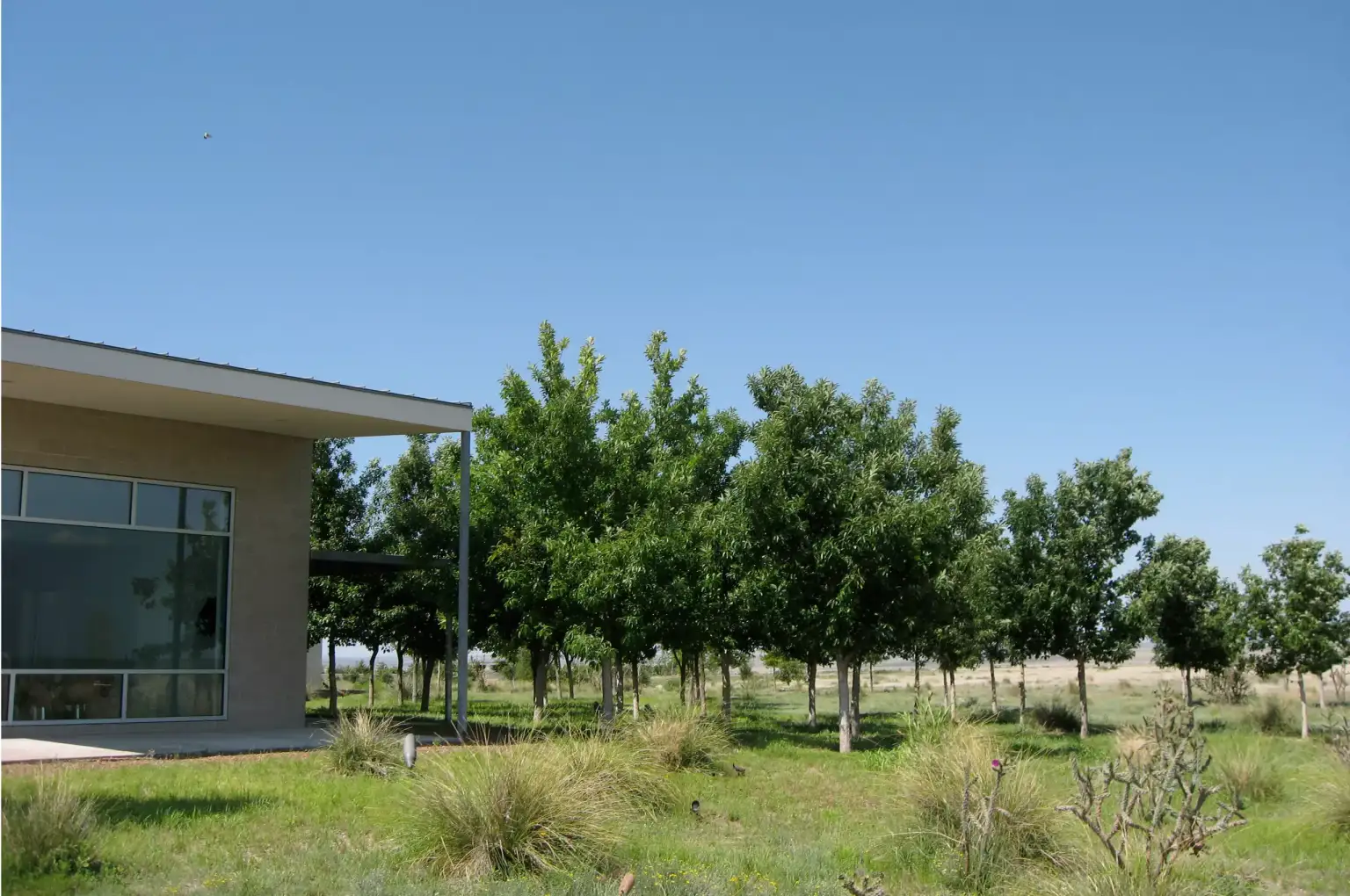Marfa Residence - Image 4 of 4