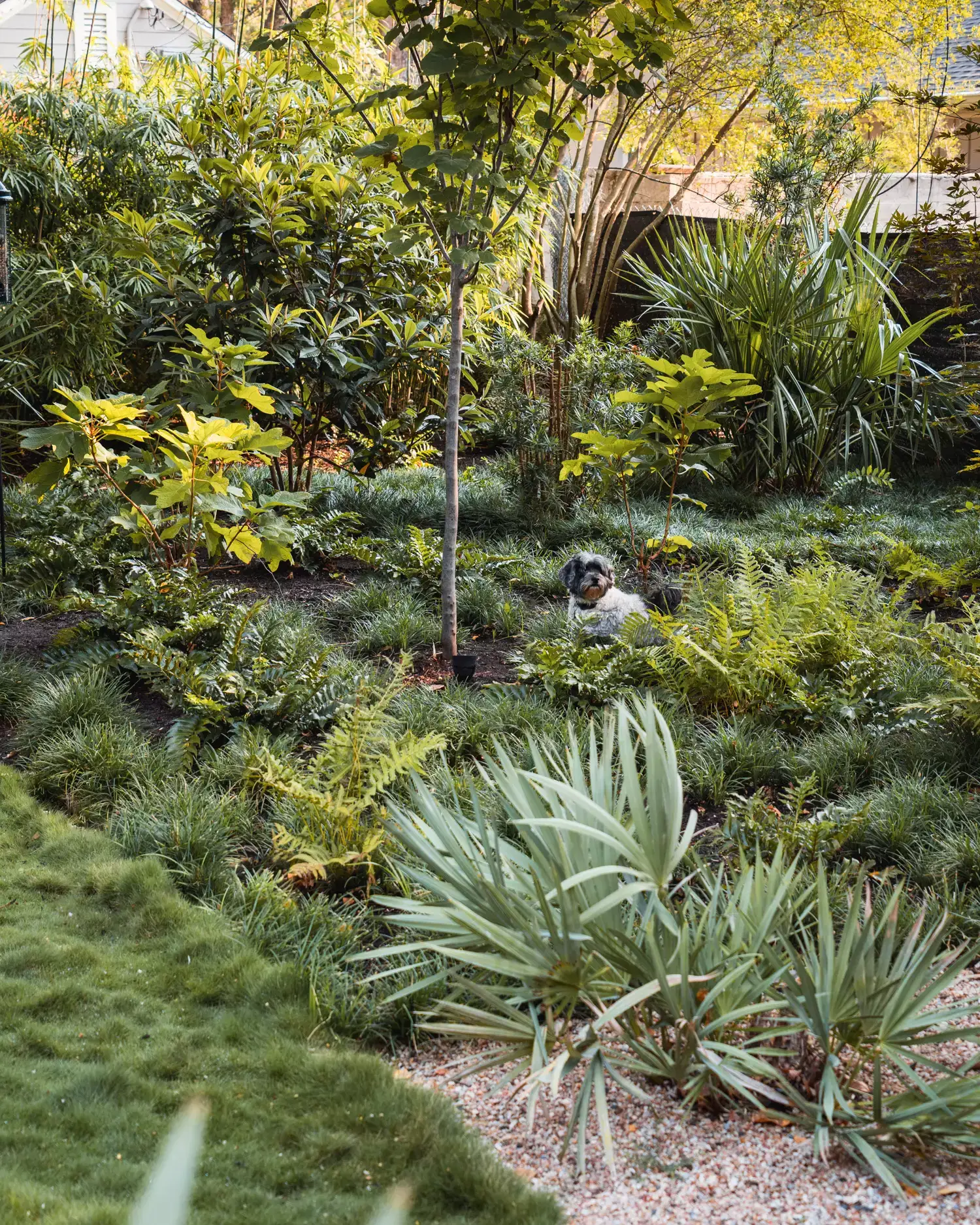 Pemberton Heights Residence - Image 4 of 5