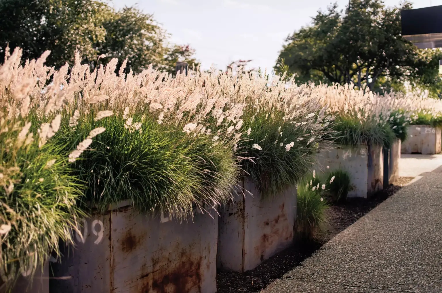 Pinthouse Pizza - Image 1 of 7