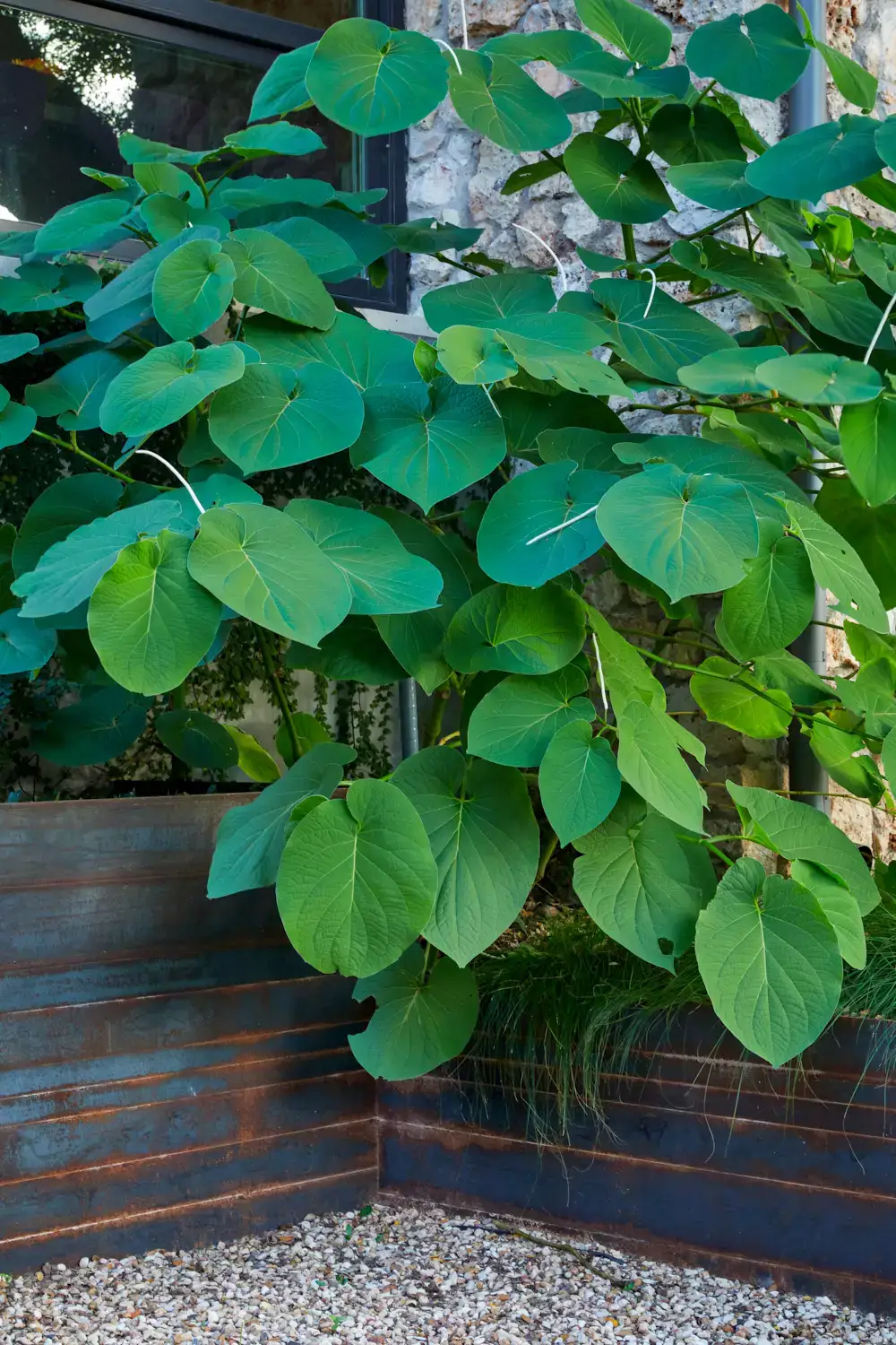 Viking House - Image 6 of 7