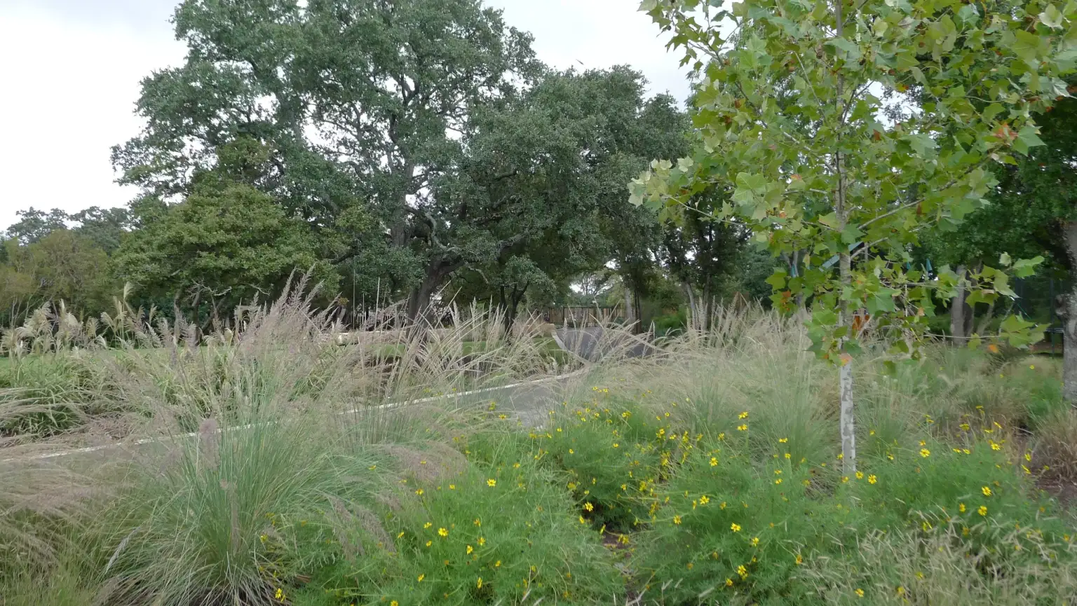 Austin Residence - Image 7 of 7