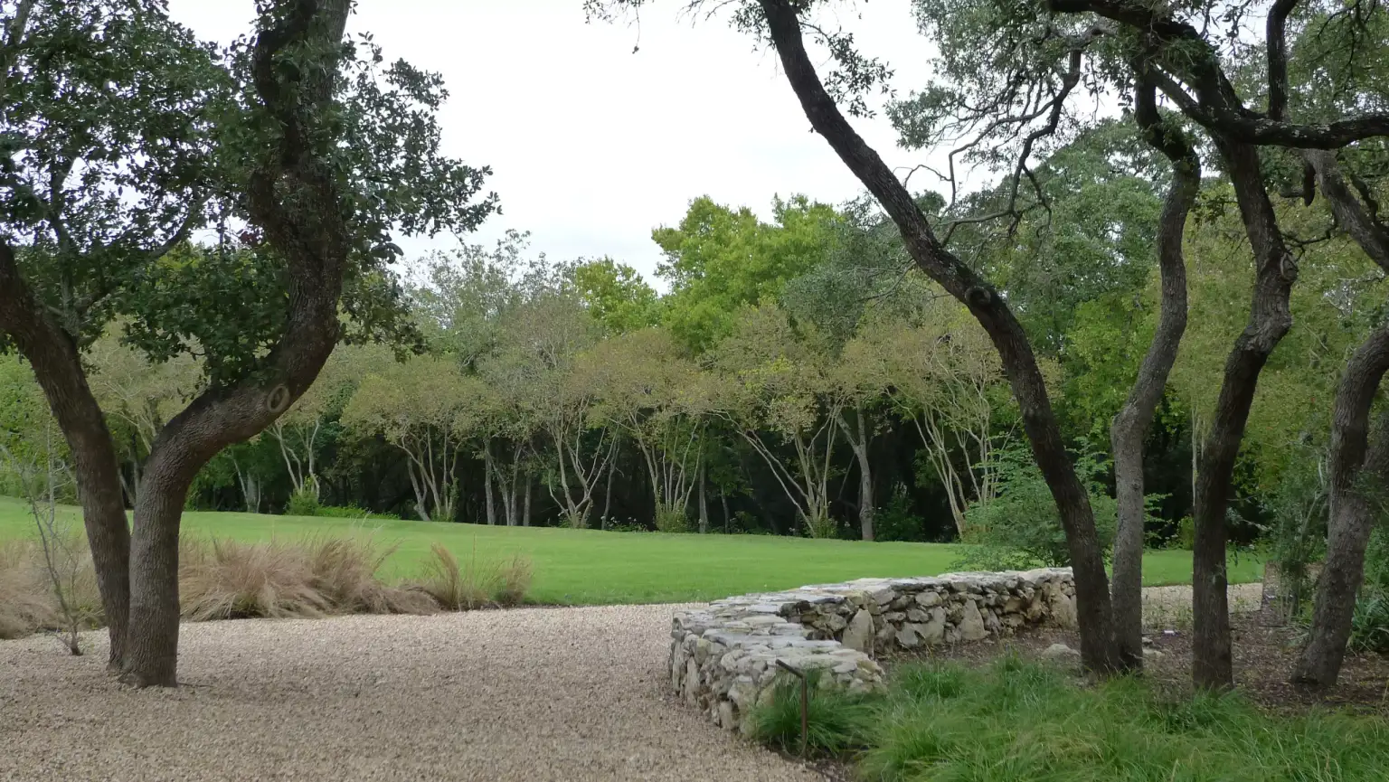 Austin Residence - Image 6 of 7