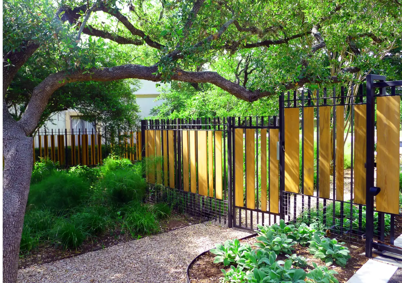 Austin Residence - Image 3 of 7