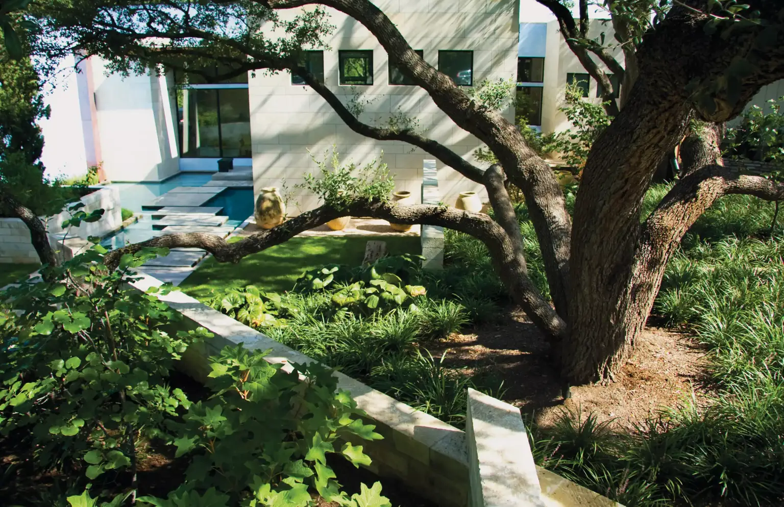 Casa Azul - Image 1 of 4