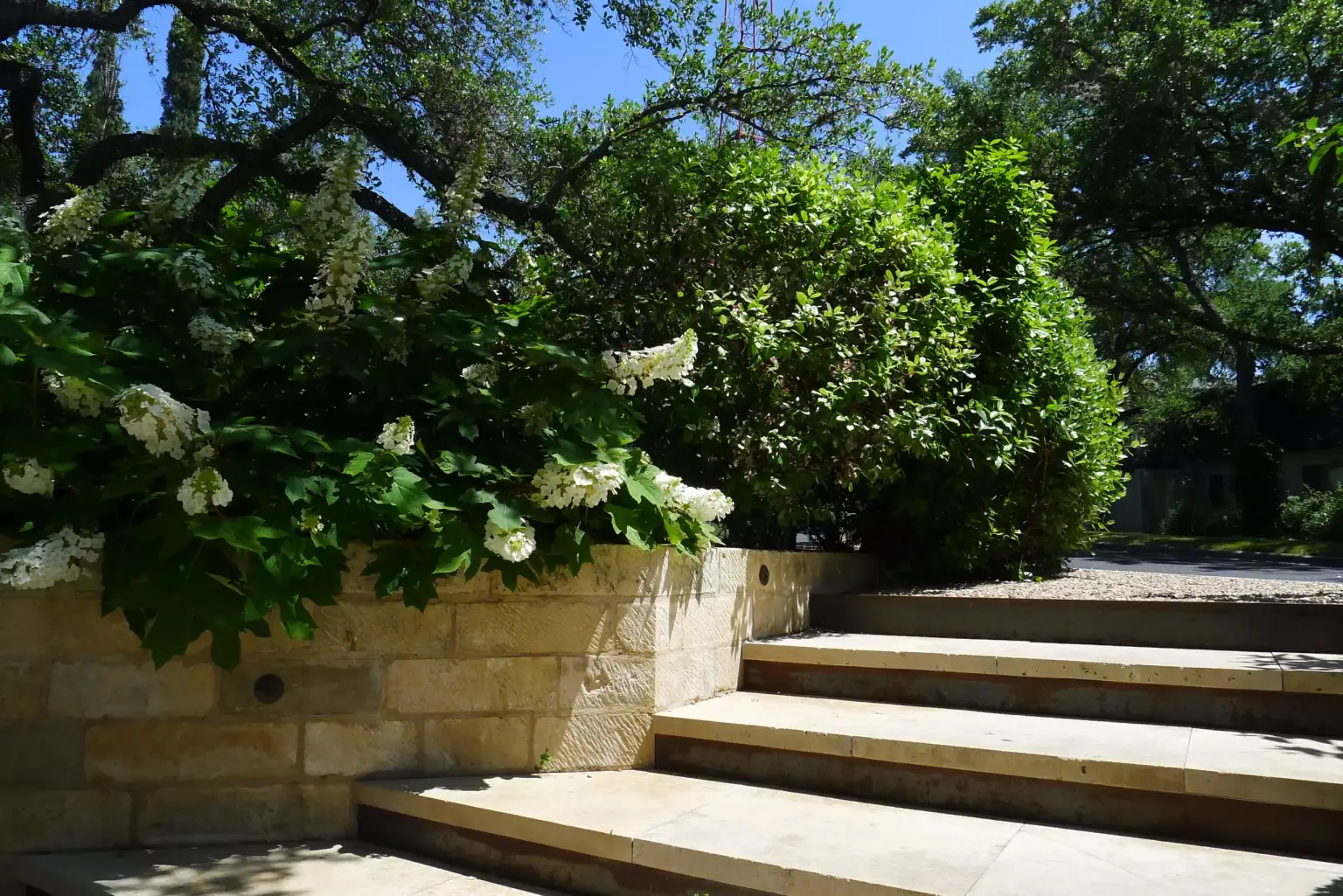 Casa Azul - Image 2 of 4