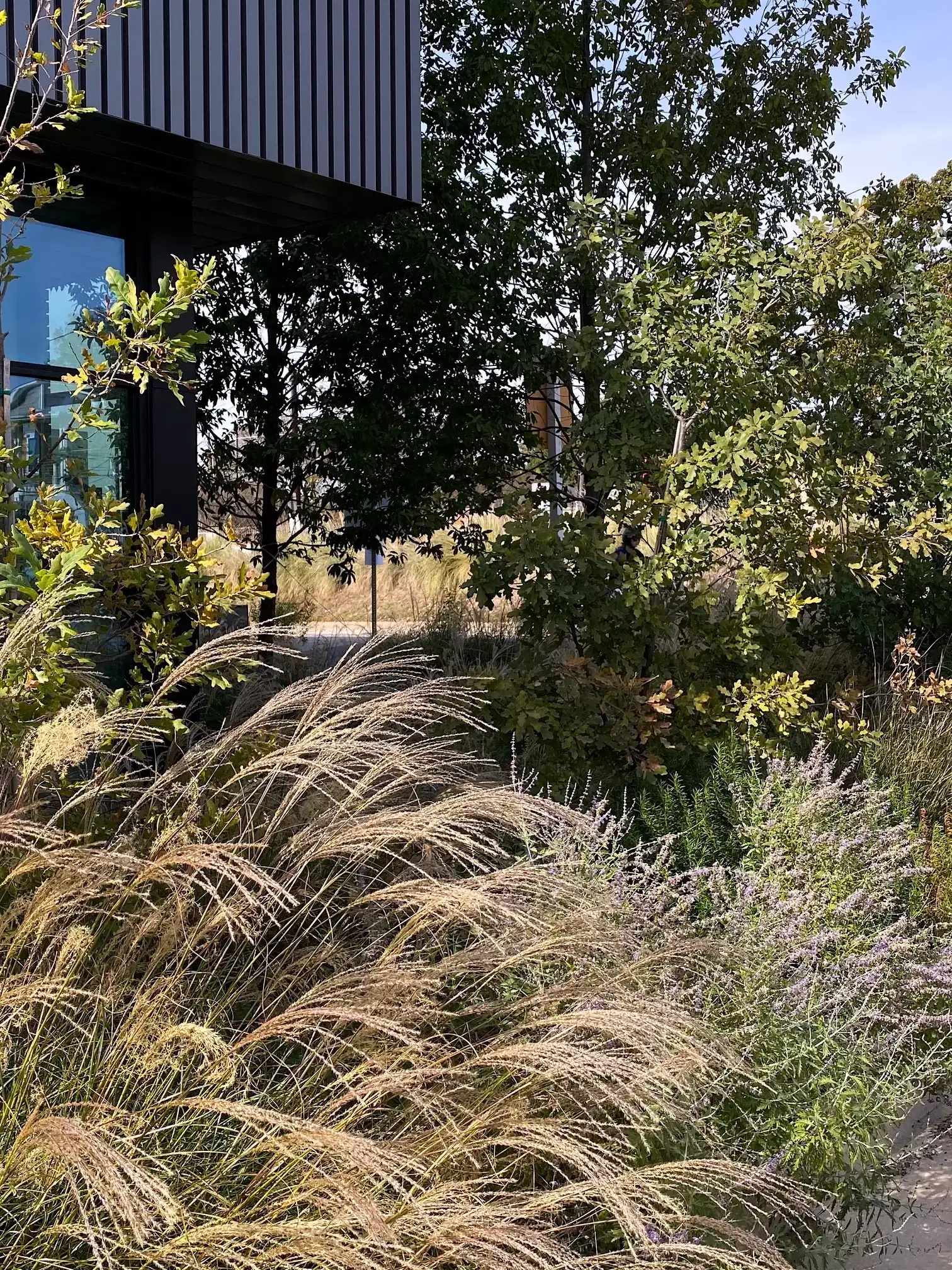 East Eleventh - Image 3 of 8