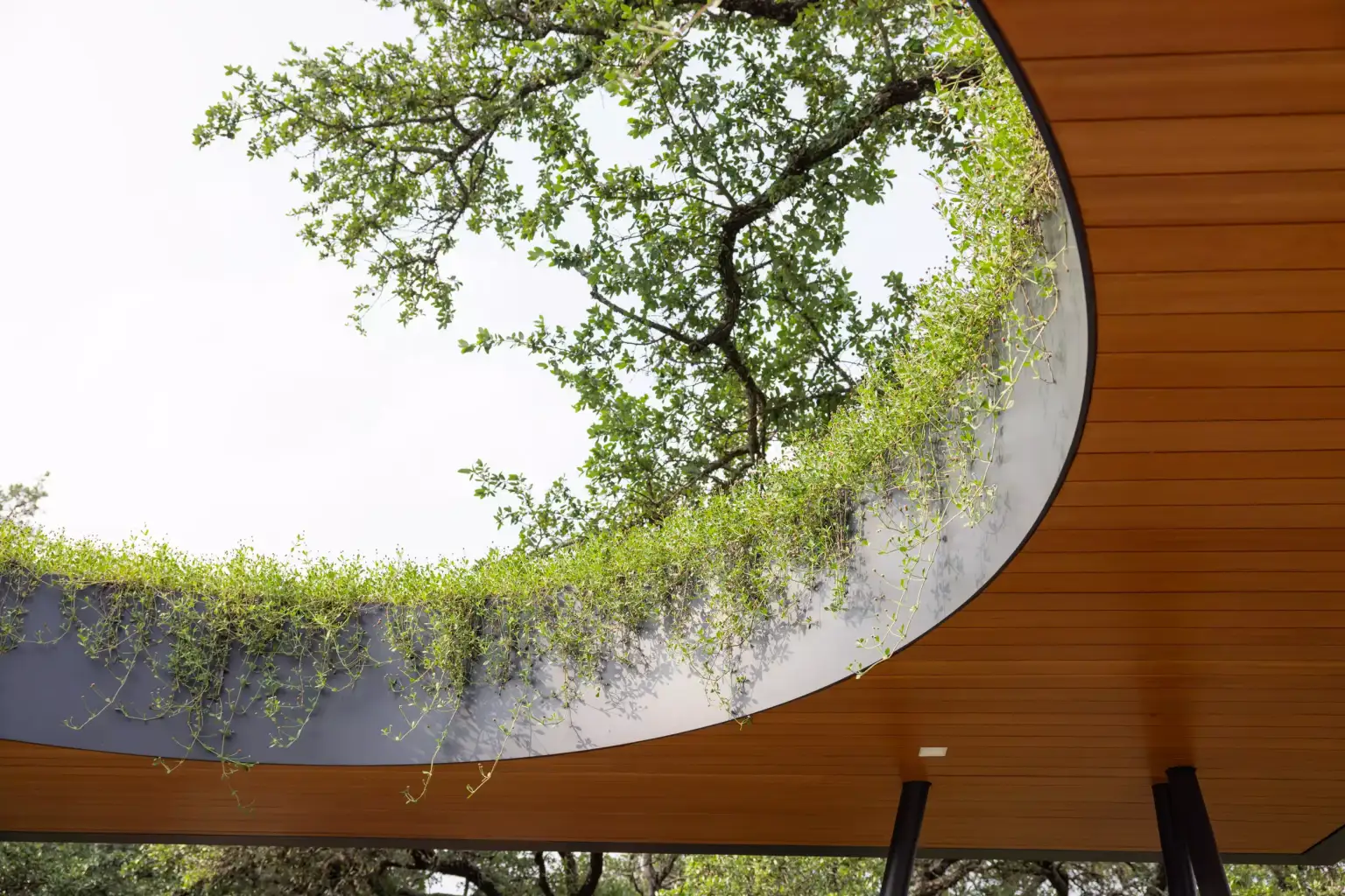 Floating Box Residence - Image 3 of 7