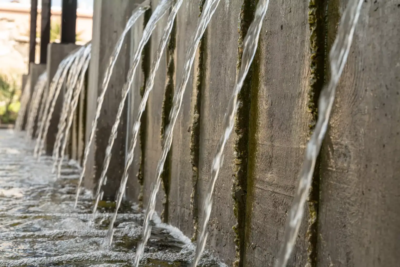 H.E.Butt Foundation - Image 5 of 5