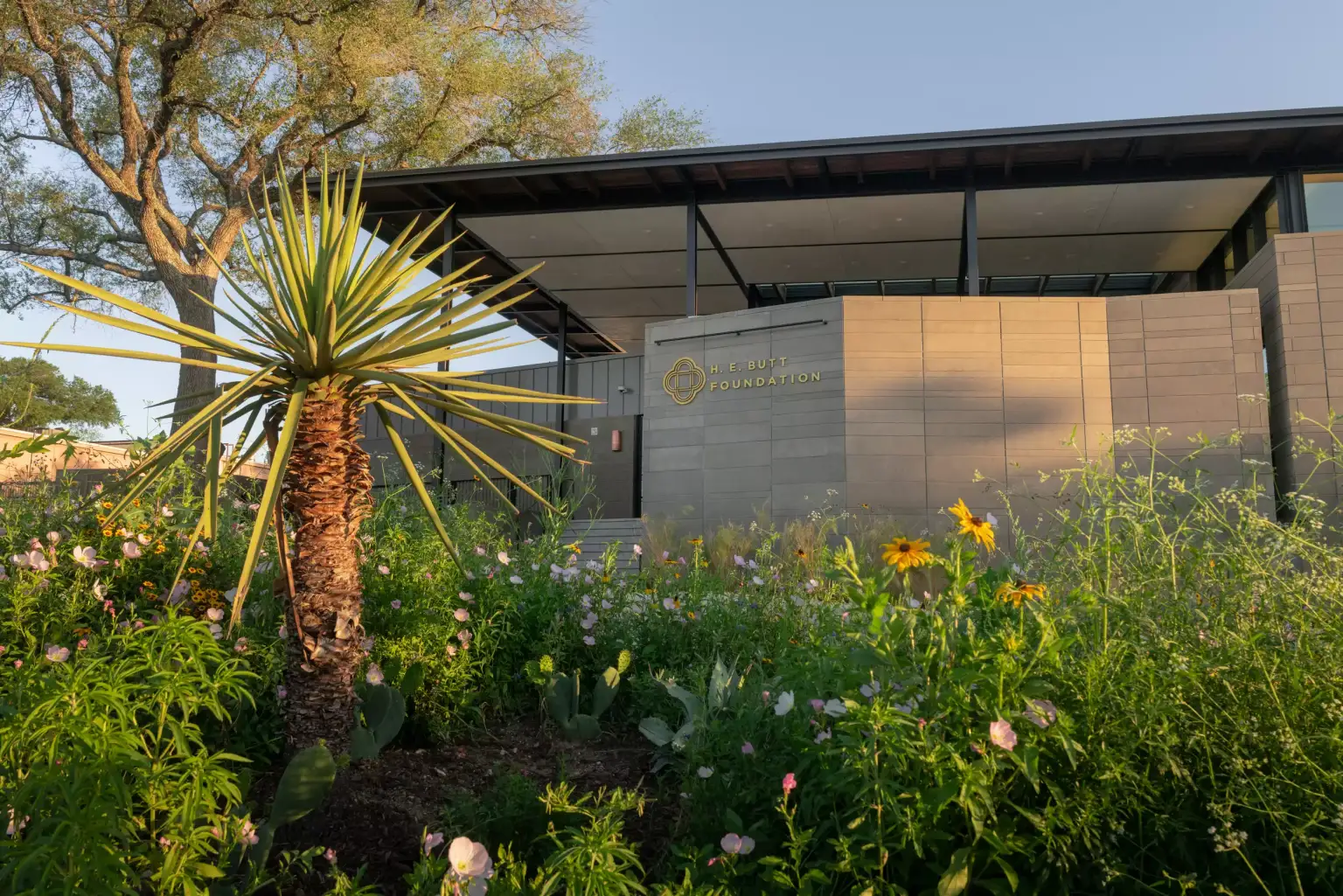 H.E.Butt Foundation - Image 1 of 5