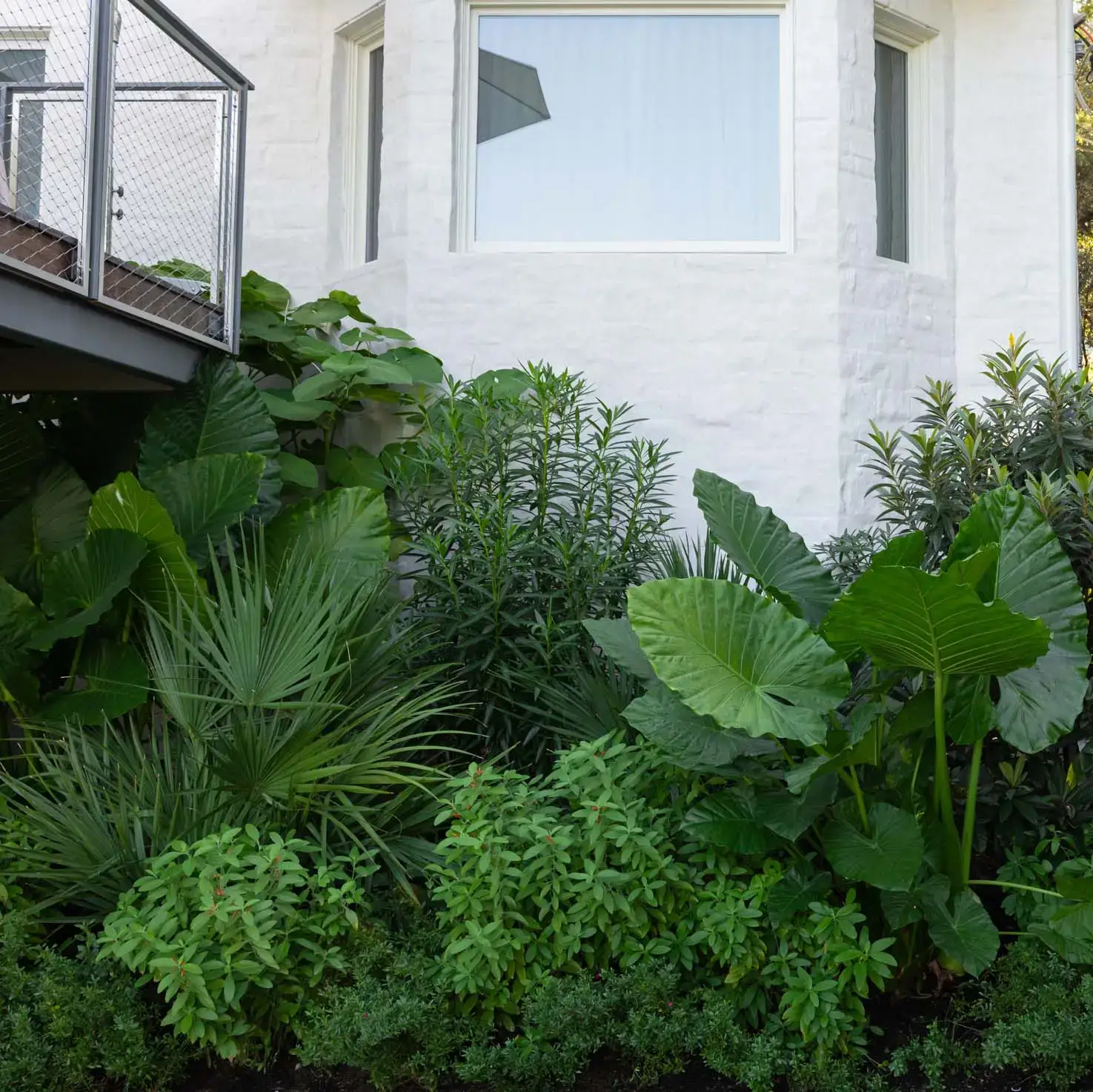 Mount Bonnell Residence - Image 5 of 5