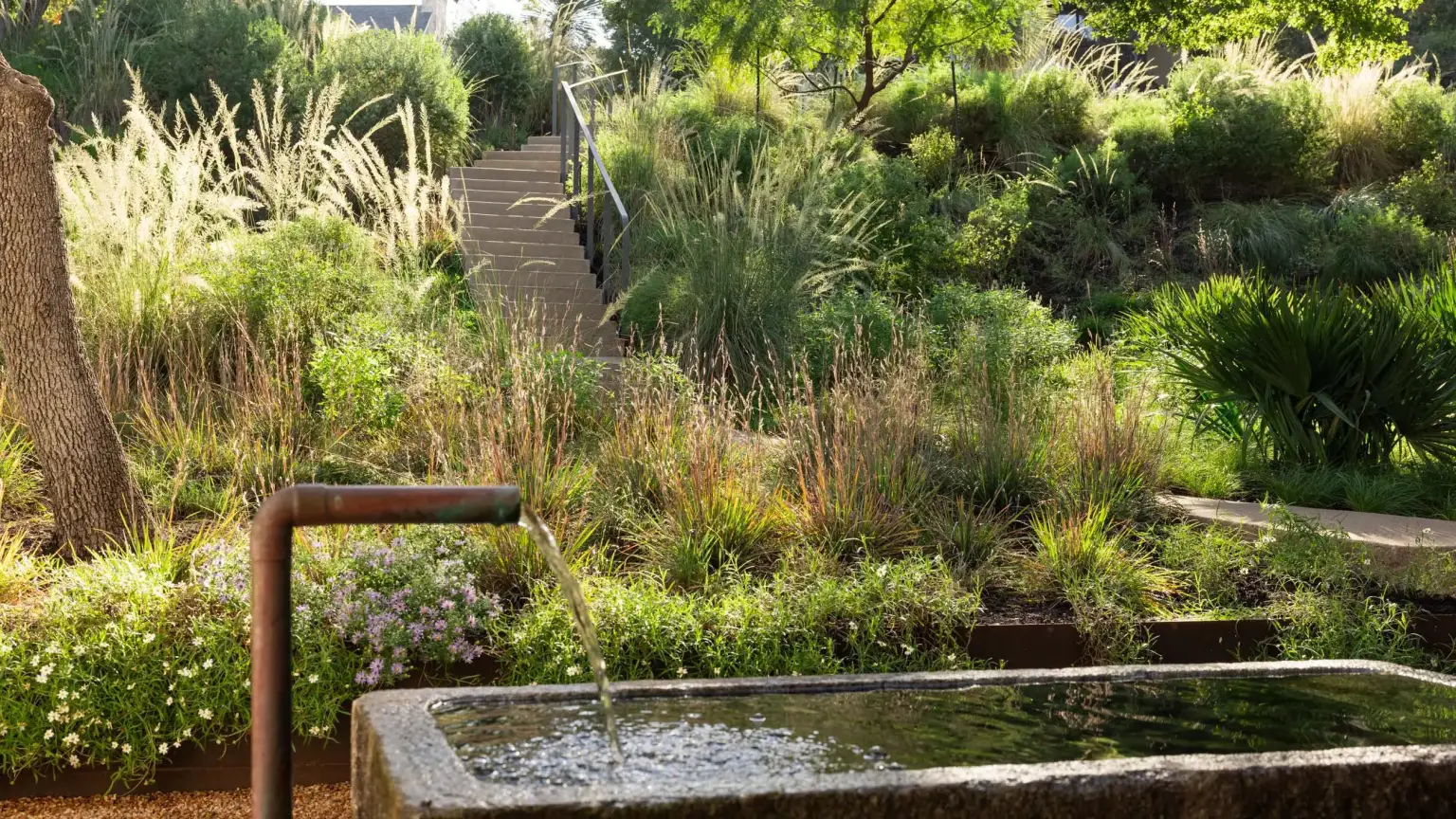 Mount Bonnell Residence - Image 1 of 5