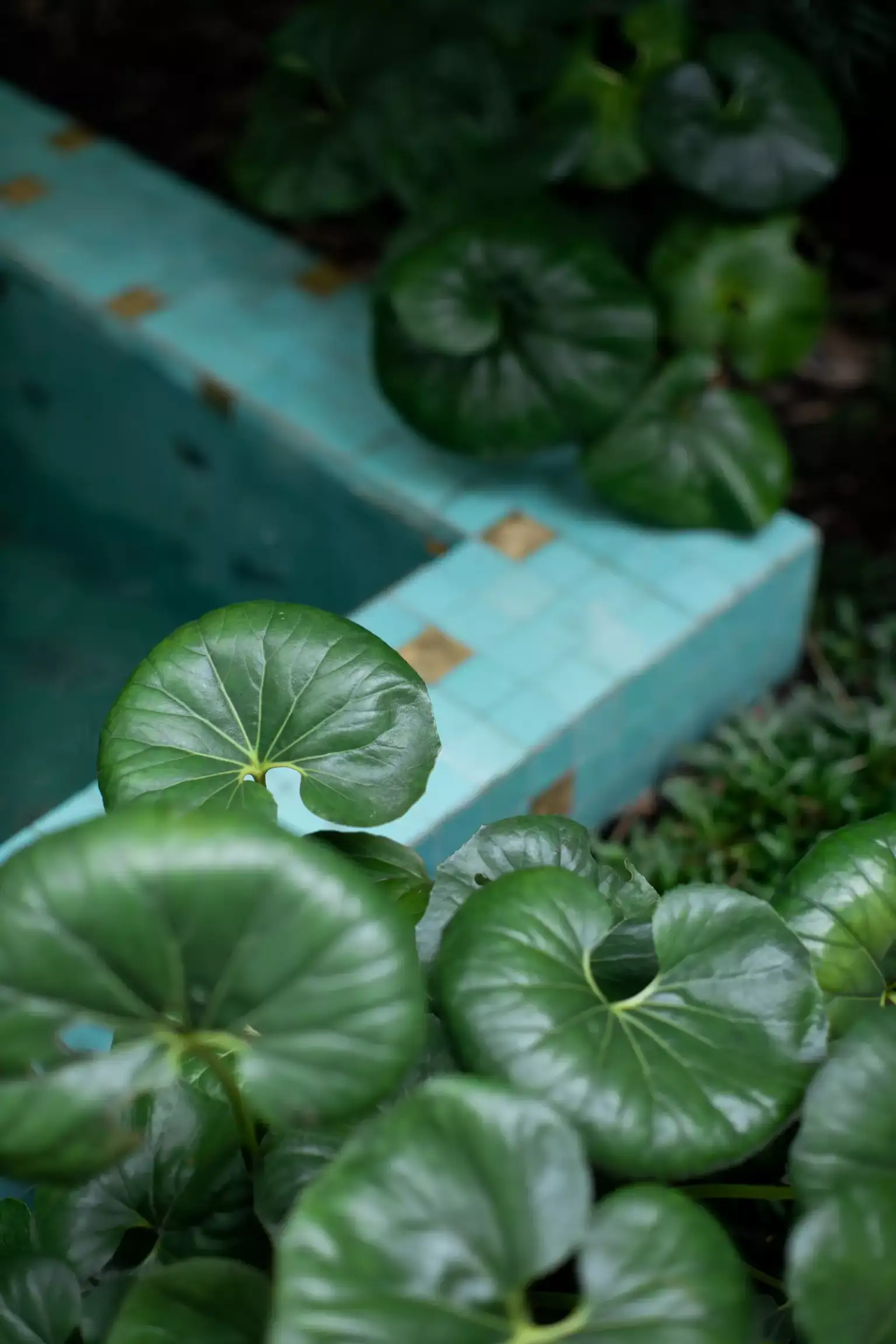 Rollingwood Residence - Image 3 of 4